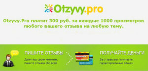 Otzyvy.pro - сервис для заработок на отзывах